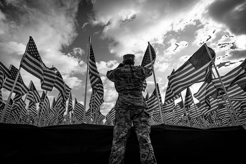 US army with American flags. Original public domain image from Flickr