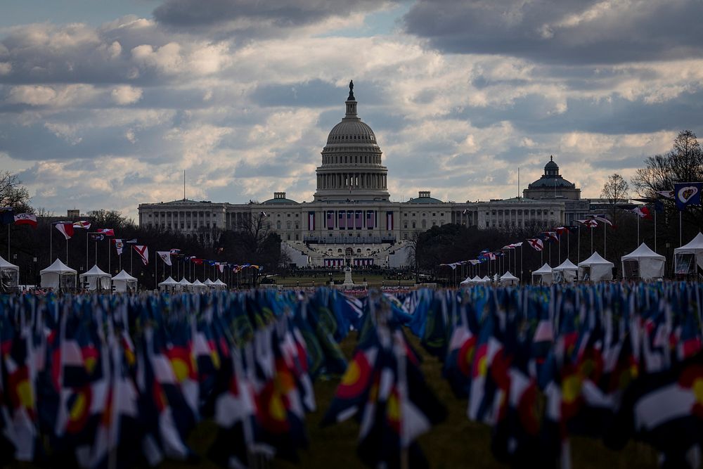 Flags decorate the National Mall area in Washington, D.C. Original public domain image from Flickr