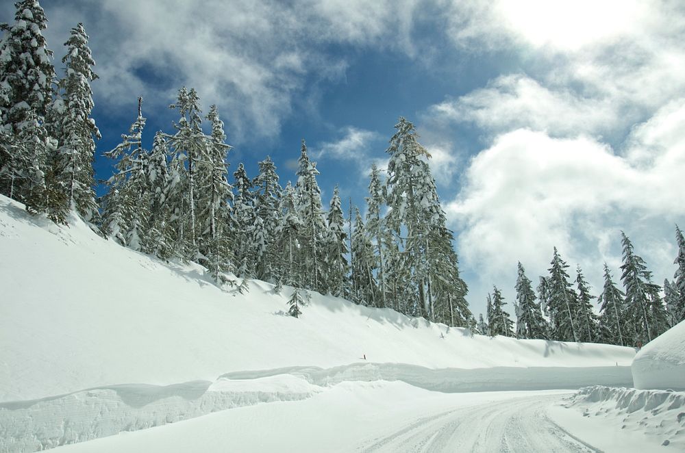 Snowy road around Mt Hood, Oregon.