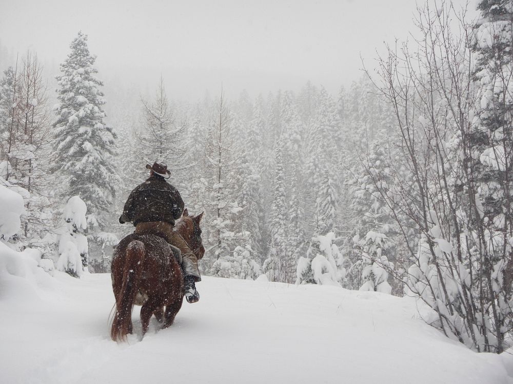 Horseback riding on public lands isn't just a summertime hobby. Near belly deep snow isn't enough to stop this rider from…