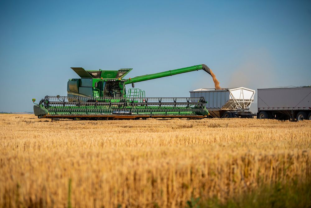 Harvest Ridge Organics harvests wheat on a field near Reservoir A in Lewiston, Idaho.