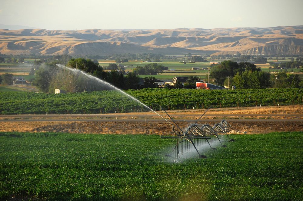A center pivot irrigation system waters a field in Fruitland, Idaho 7/22/2012 Photo by Kirsten Strough. Original public…