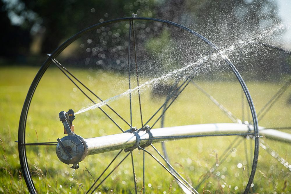 A wheel line irrigation system waters a pasture at the home of Stacey Carlson, a Reclamation employee, in Kuna, Idaho.…