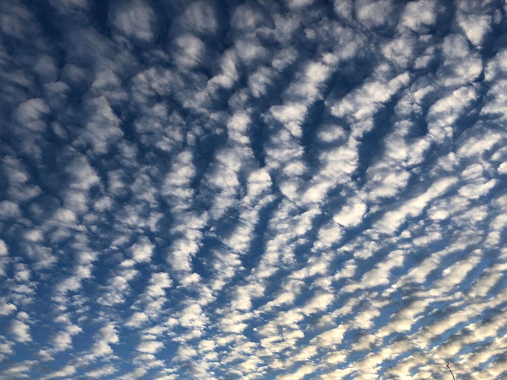 Mackerel Sky Clouds
