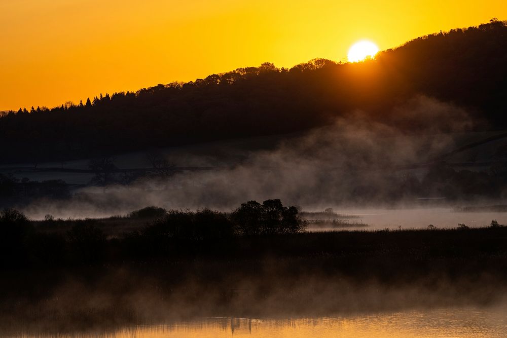Leighton Moss. Original public domain image from Flickr