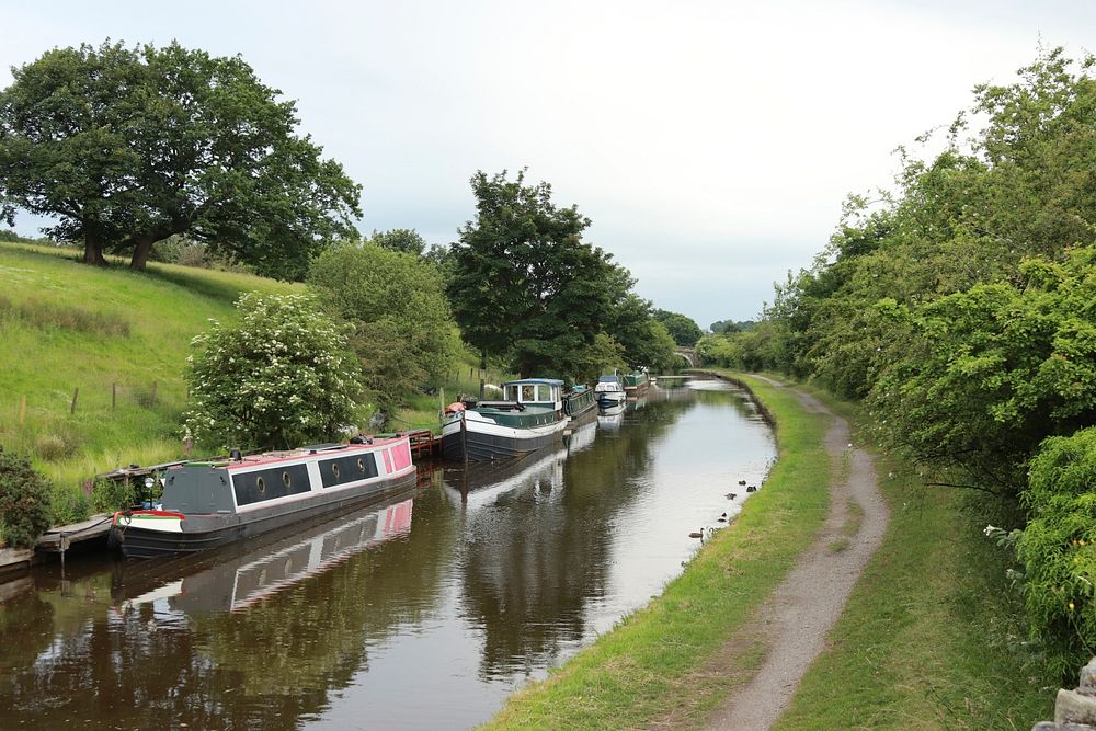 Moored canal boats.
