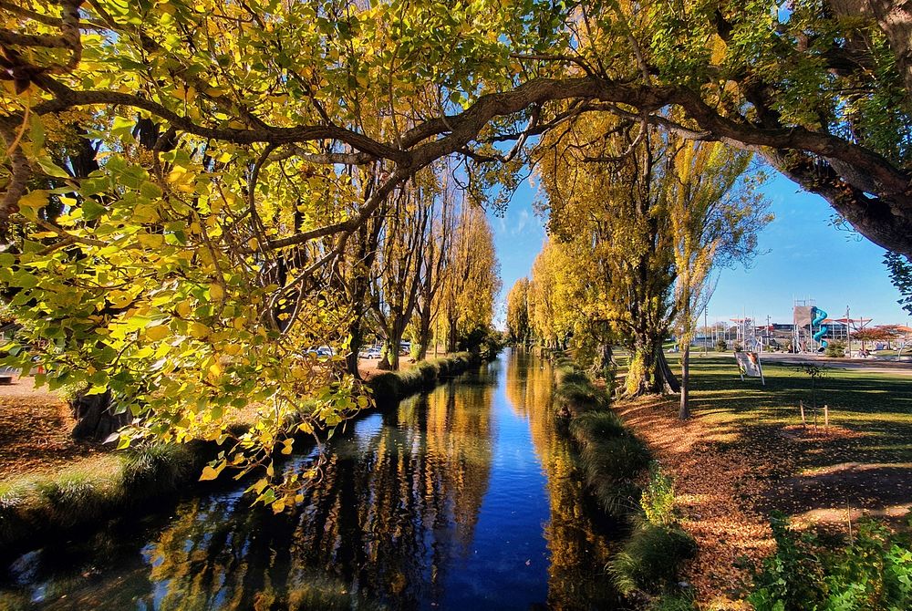 Seasonal colours Christchurch.The Avon River / Ōtākaro flows through the centre of the city of Christchurch, New Zealand,.…
