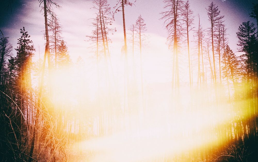 Light Leaks in film photography. Free public domain CC0 image.