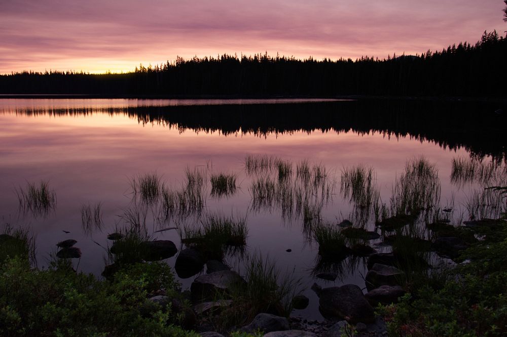 Rosy sunrise on Waldo Lake, Oregon