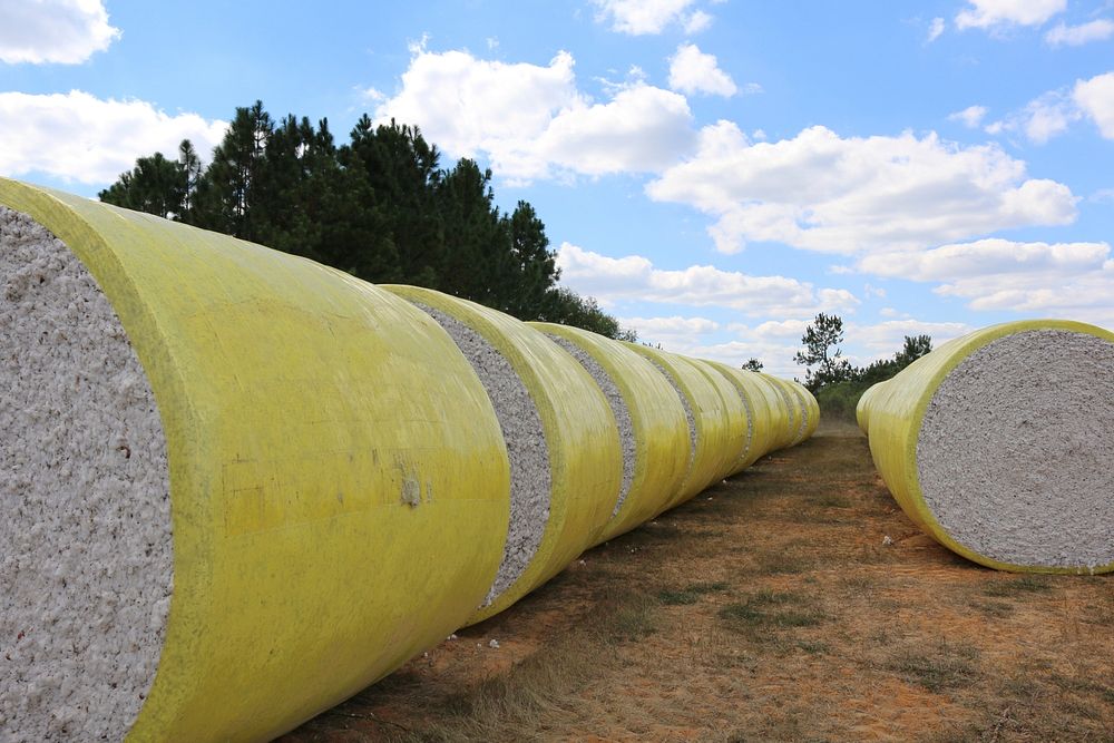 Round modules of cotton. Free Free Photo rawpixel