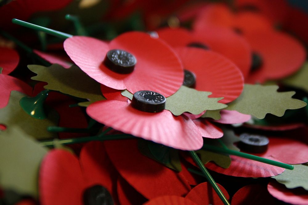 Paper poppies craft for Remembrance day. Original public domain image from Flickr