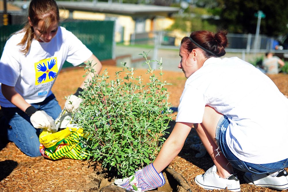 Make A Difference Day 2011