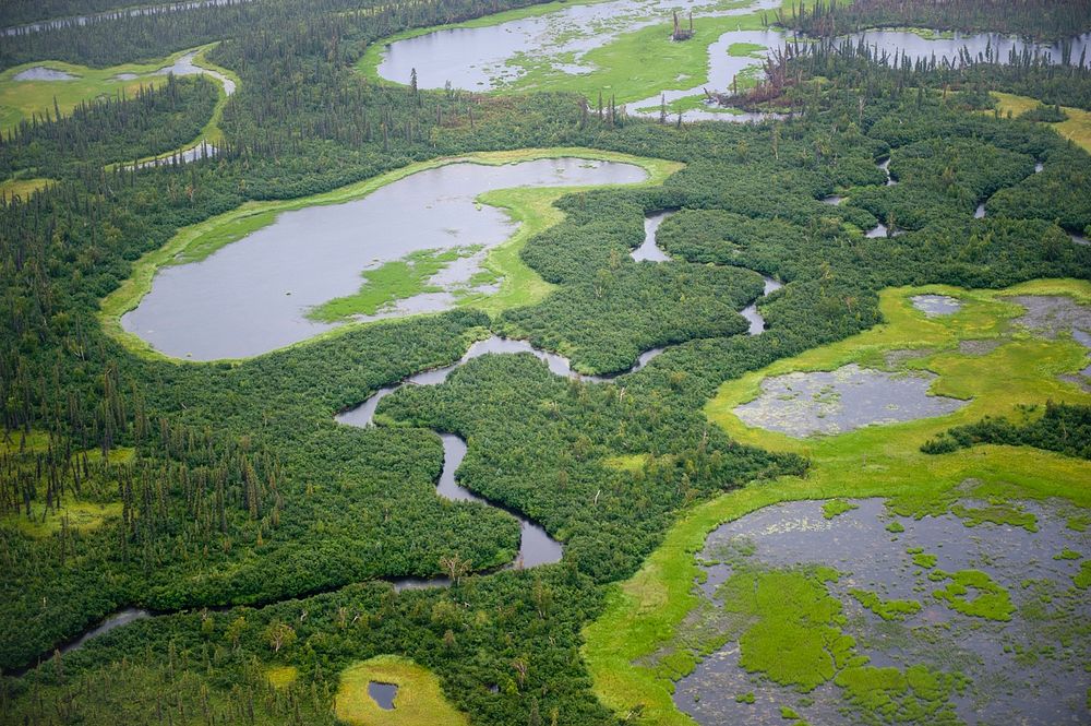 Wetlands along the Kobuk RiverNPS Photo by Neal Herbert. Original public domain image from Flickr