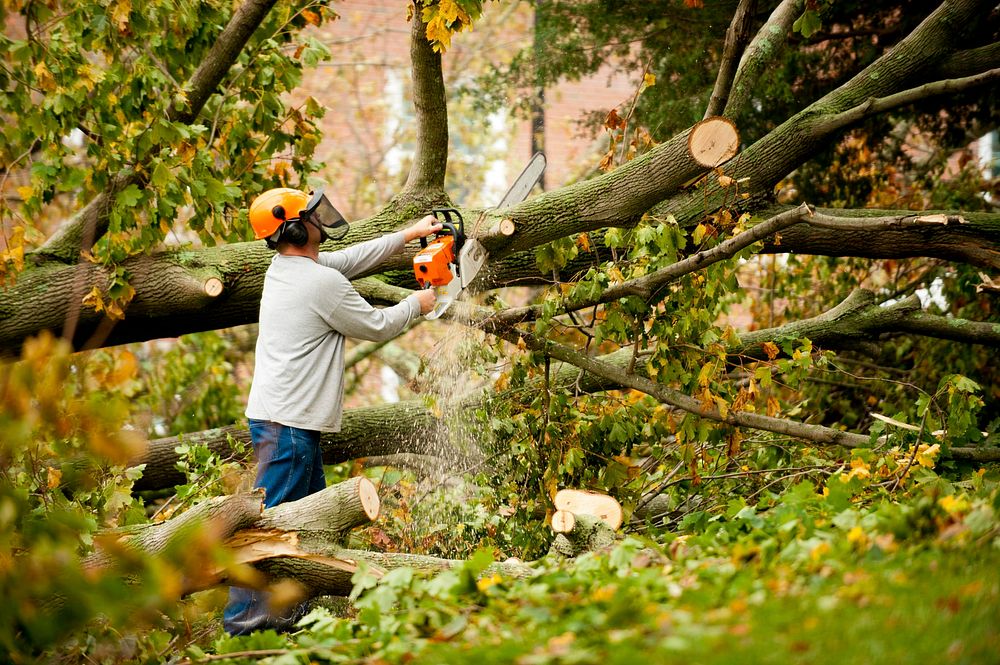 121031-031 Sandy Clean-Up U.S. Coast Guard Academy grounds personnel clean debris left after Hurricane Sandy rolled through…