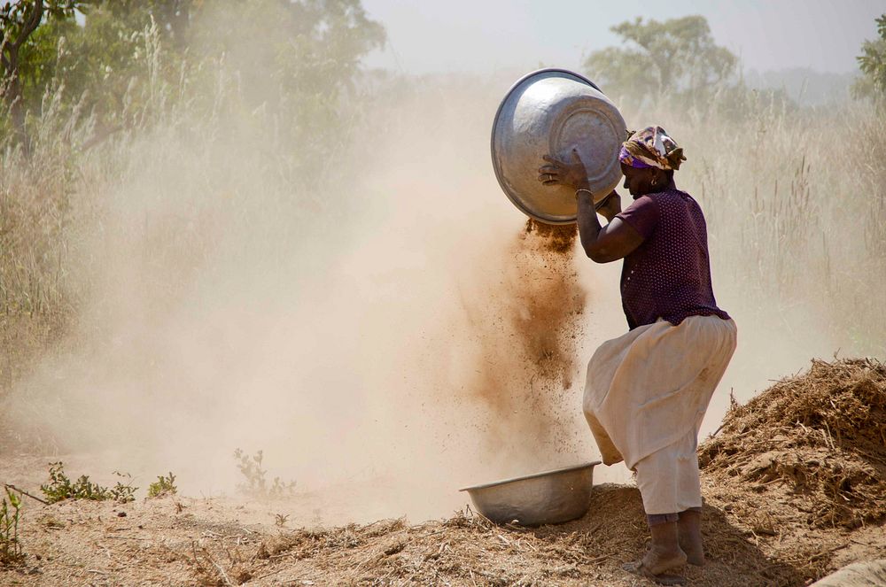 Cleaning soya. A woman cleans soya in Bincheratanga, Northern Region. (USAID/A. Kauffeld). Original public domain image from…