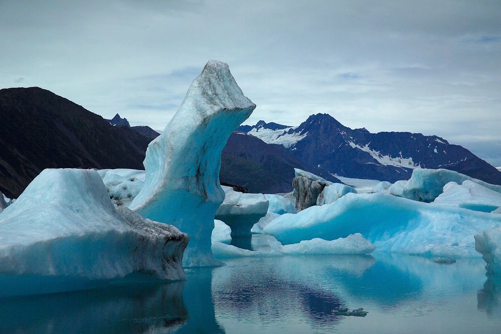 Bear Glacier Bergs 12NPS Photo/Jim Pfeiffenberger. Original public domain image from Flickr