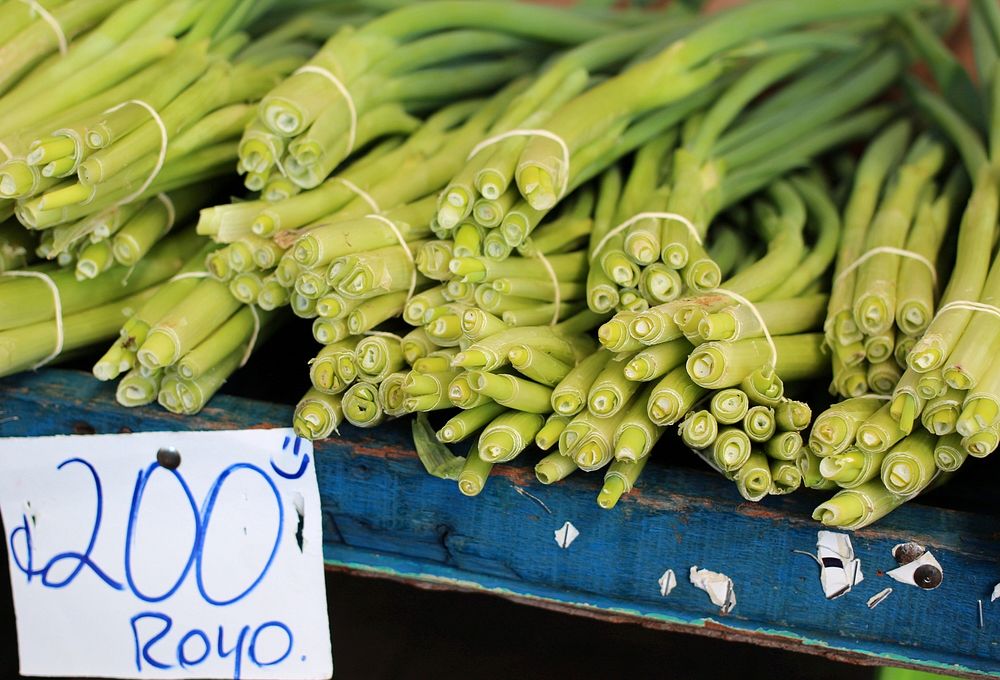 Alajuela's public market. Green Onions / Chives (los cebollinos). Alajuela, Costa Rica.