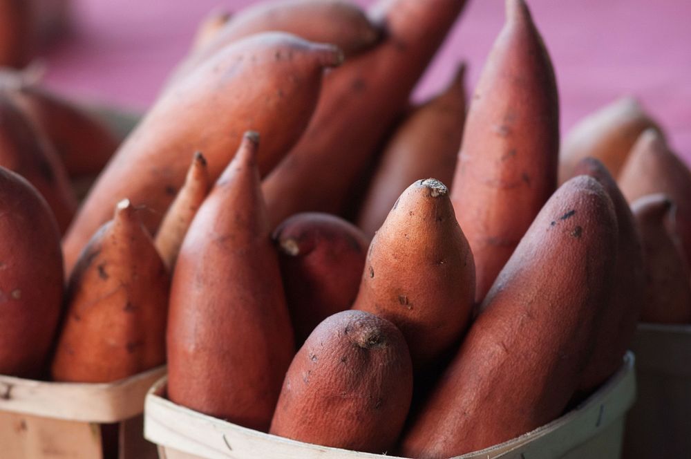 Worden Farm (www.wordenfarm.com) fresh picked organic sweet potato are ready for sale at the Saturday Morning Market, in St.…
