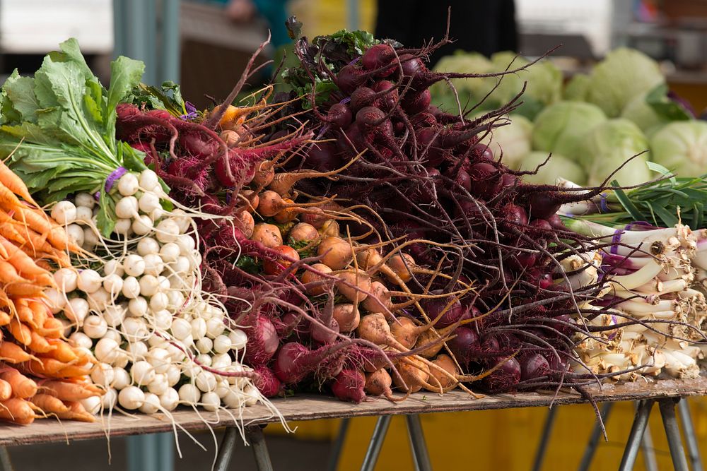 Fresh vegetables at Berkeley All Organic Farmer's Market