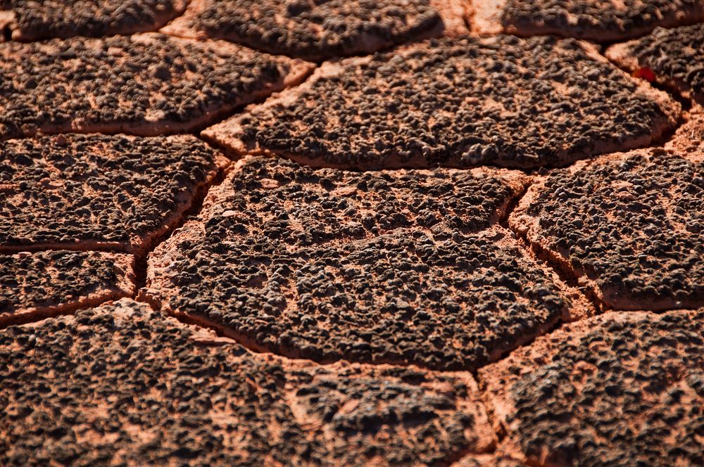 Micro-Canyonlands formed by Cyanobacterial soil crusts. Original public domain image from Flickr