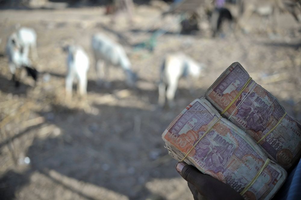 A Somali man holds the money he earned from selling goats at Bakara Animal Market in Mogadishu, Somalia, on April 13.