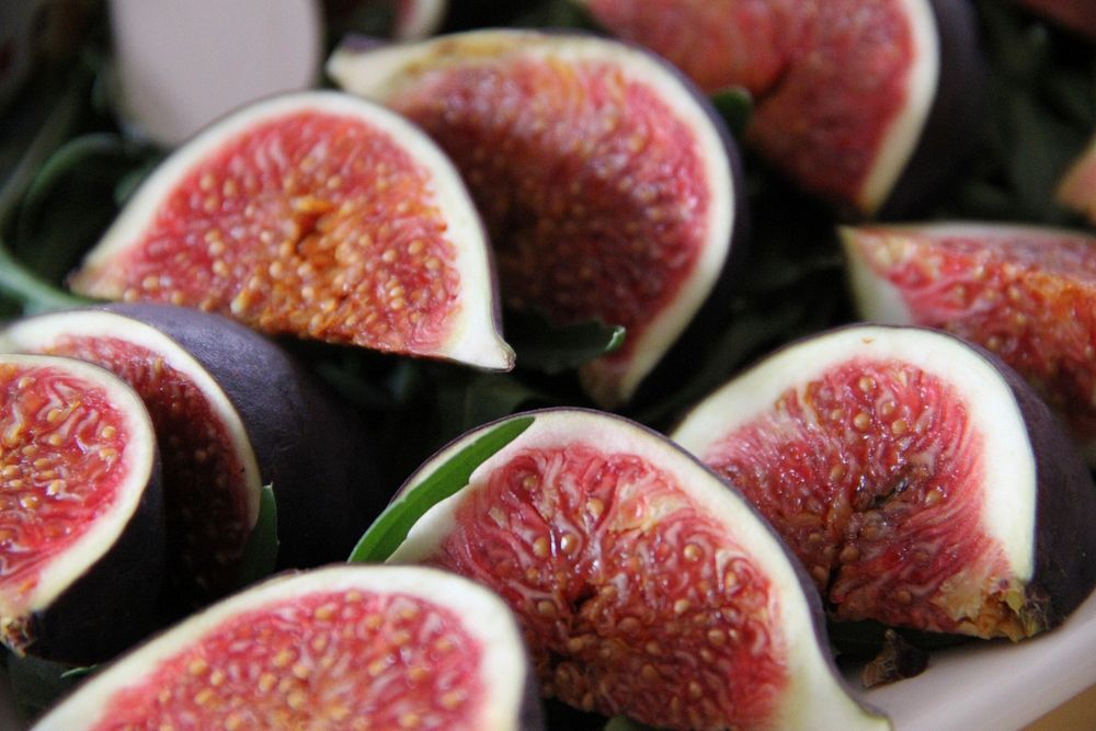fig plate