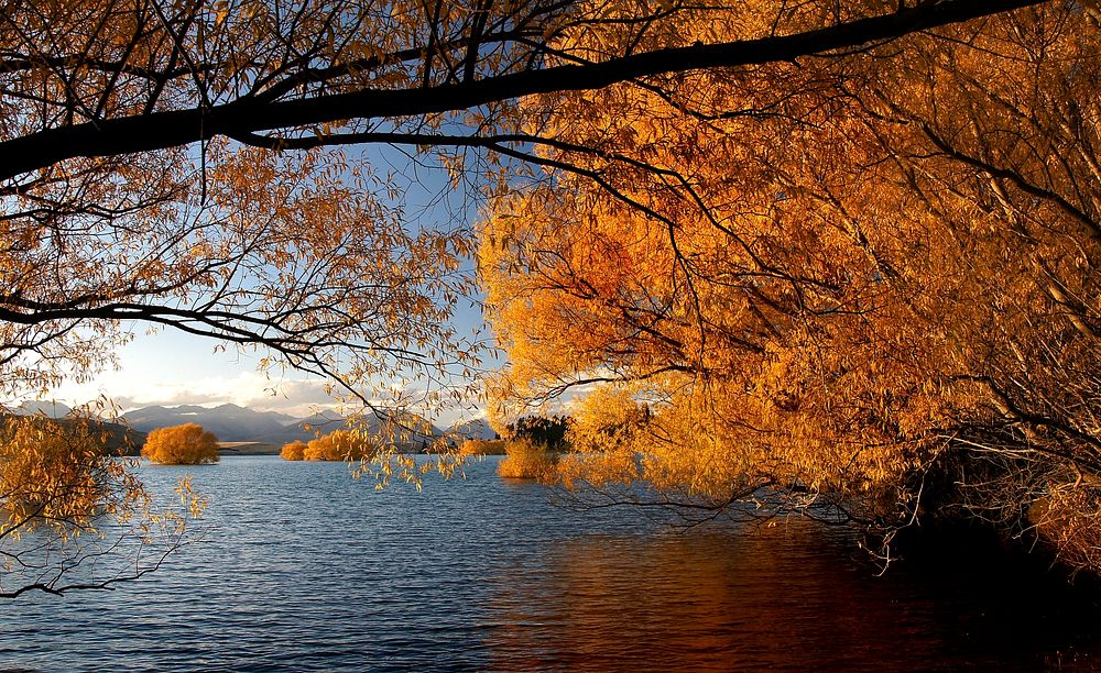 Autumn at Lake Tekapo NZ. Original public domain image from Flickr
