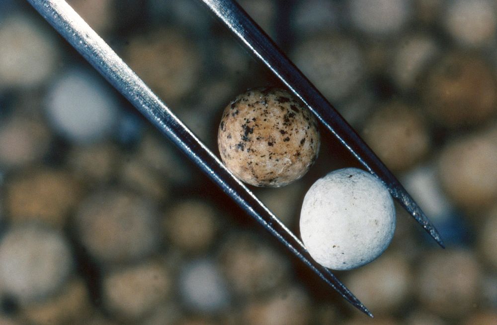 The ceramic spheres, o.6 cm in diameter, used in the modified hot recycled solid retorting process developed at LLNL.