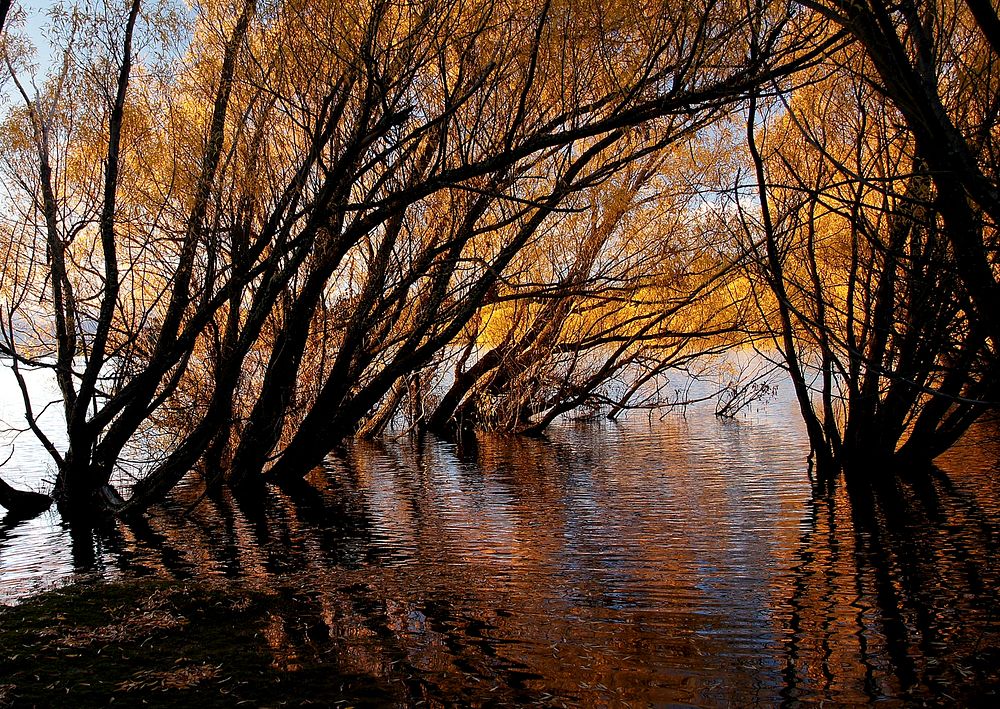 Autumn at Lake Tekapo NZSONY DSC. Original public domain image from Flickr