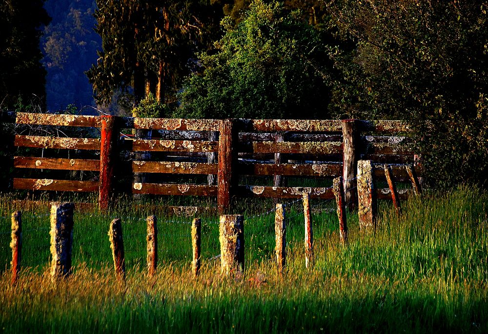The boundry fence. Original public domain image from Flickr