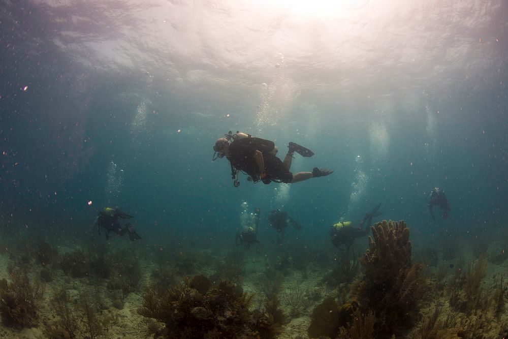 U.S. Navy divers with Company 2-1, Mobile Diving and Salvage Unit (MDSU) 2 swim with Belize Defense Force divers during a…