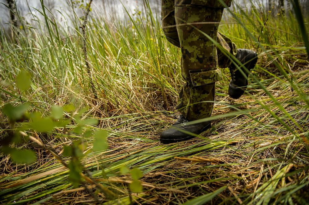 Estonian Soldiers patrol a forest during a training lane at Adazi Training Area. Original public domain image from Flickr