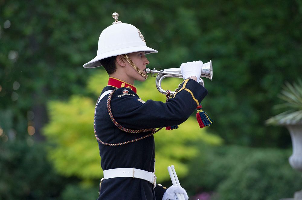 A British marine plays an instrument June 10, 2014, during a performance as part of a dinner in honor of the U.S. Joint…