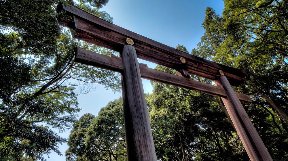 Torii gate for the Meiji Shrine.