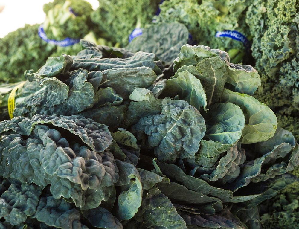 Kale for sale at Jack London Square, in Oakland, CA, on Sunday, March 2, 2014. USDA photo by Lance Cheung.. Original public…