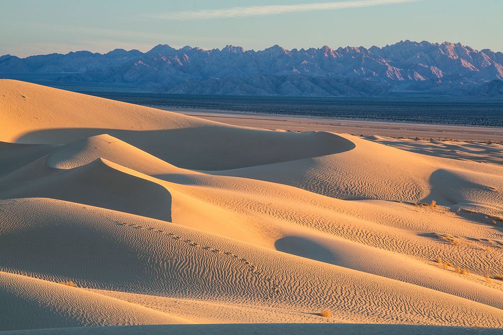 Sand dunes landscape. Original public domain image from Flickr