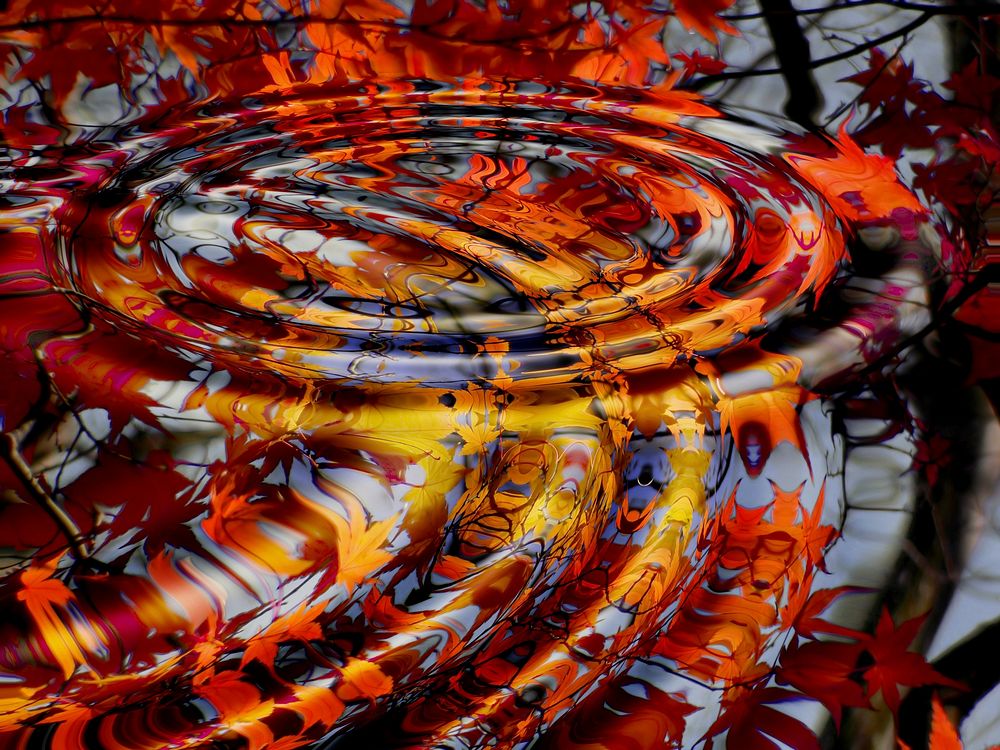 A swirl of autumn. Original public domain image from Flickr