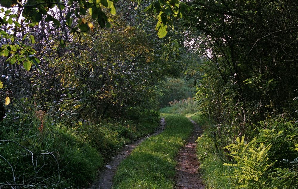 Calm road.