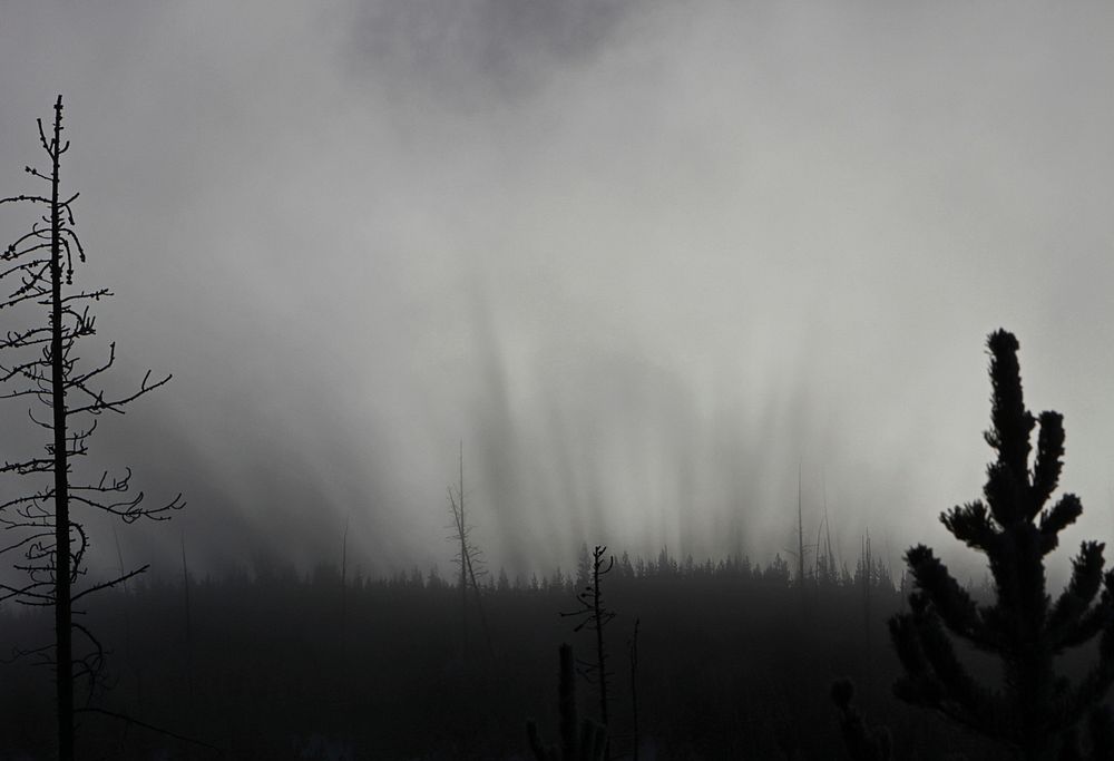 Sunrise filters through the steam of Roaring Mountain. Original public domain image from Flickr
