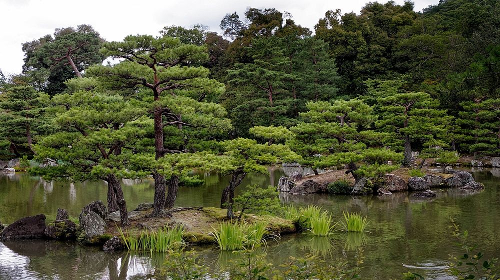 Japanese Garden, Kyoto.