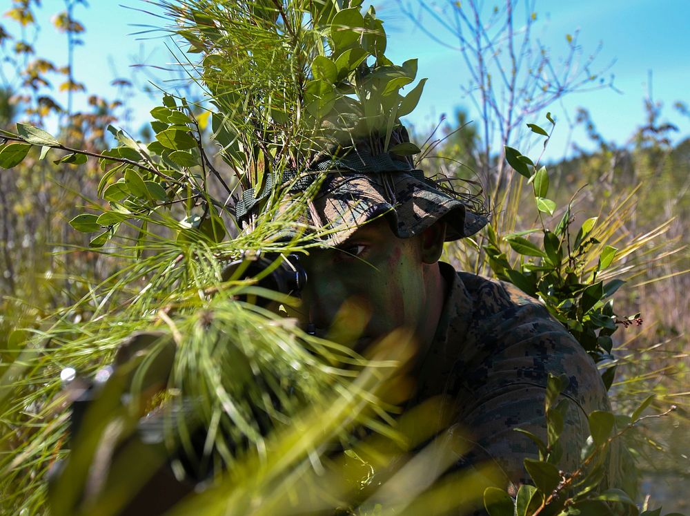 A Marine scout sniper candidate with Scout Sniper Platoon, Weapons Company, 2nd Battalion, 2nd Marine Regiment looks through…