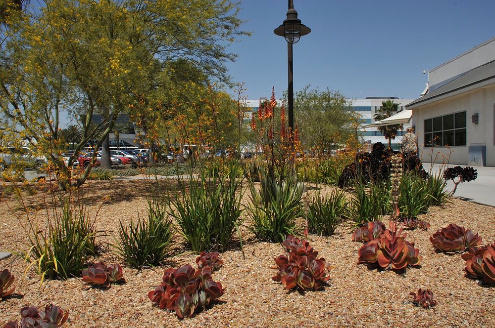 Los Angeles Air Force Base uses Xeriscaping to Conserve Water.