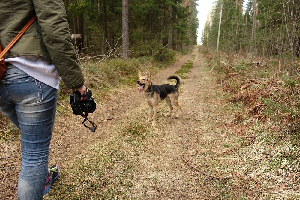 Dog going for a walk with woman holding camera.  Free public domain CC0 photo.