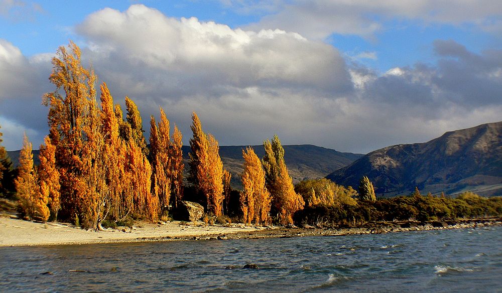 Autumn Lake Wanaka.