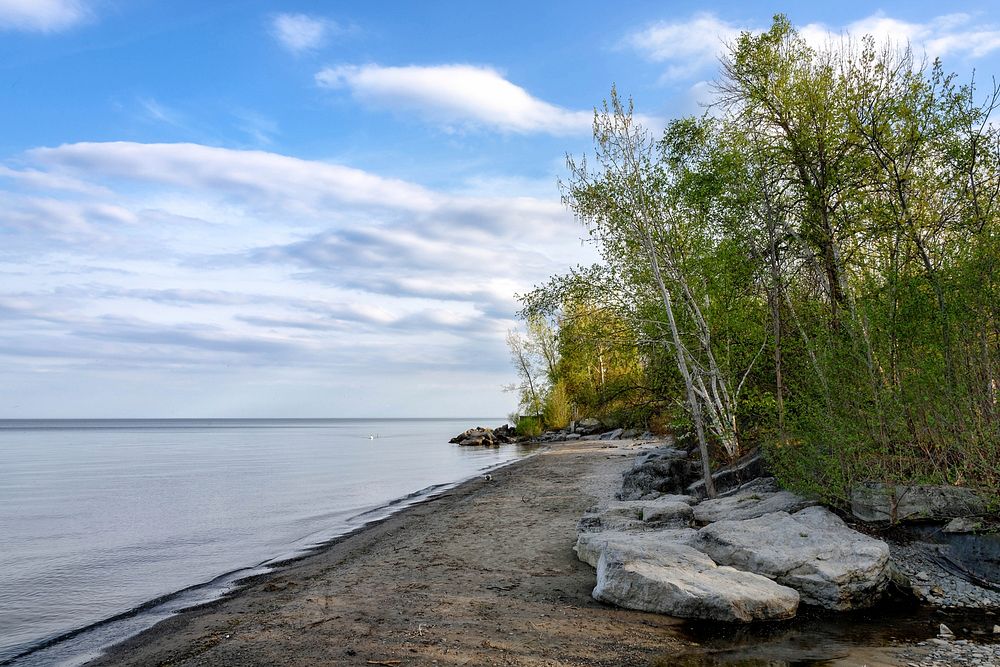 Lake Ontario Shoreline.