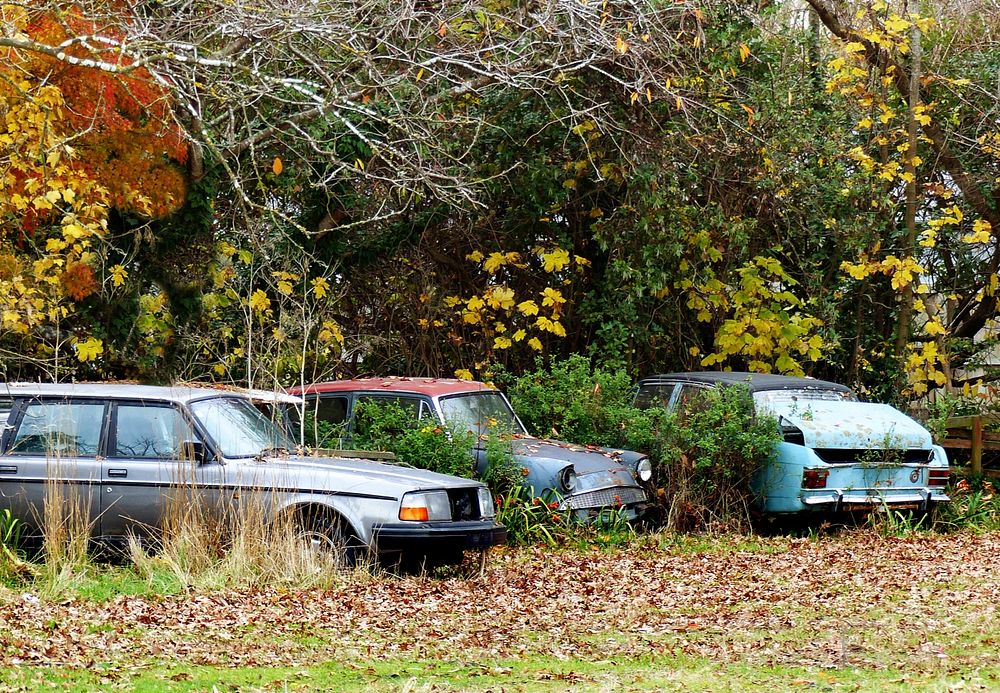 Parked up.Were cars that have past their used by date finish up'. Original public domain image from Flickr