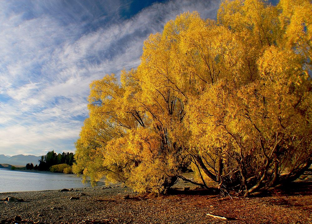 Autumn Lake Tekapo, New Zealand. Original public domain image from Flickr