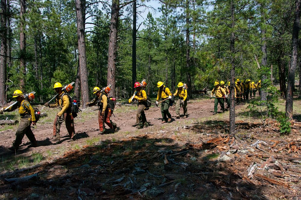 Crew heading out after cleaning fuels away from the fire line in preparation for burn operations.