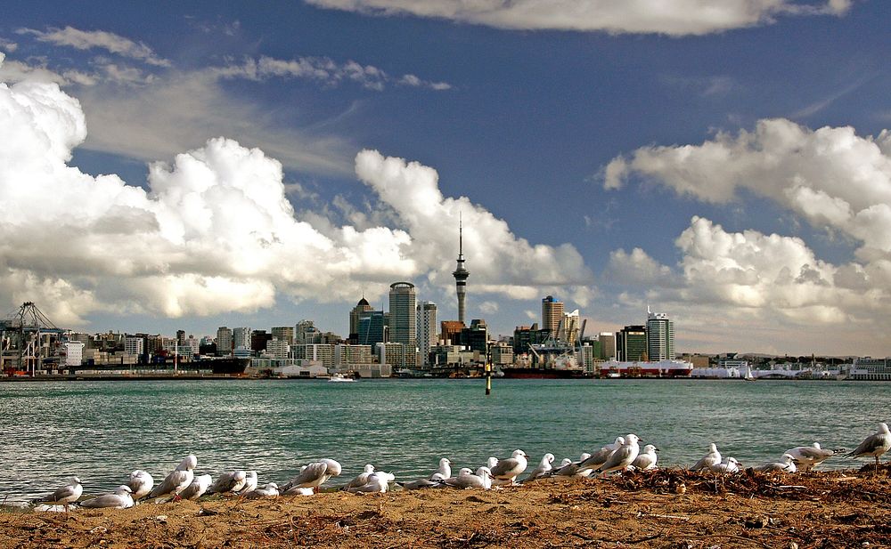 Auckland Skyline.