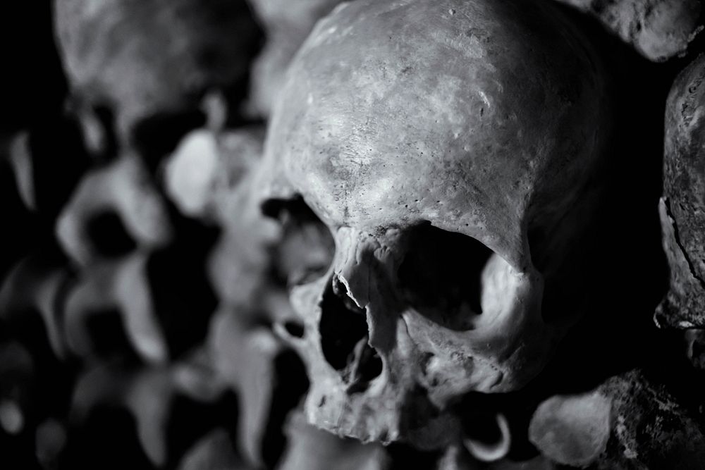 Human skull in the catacombs of Paris. Free public domain CC0 image.